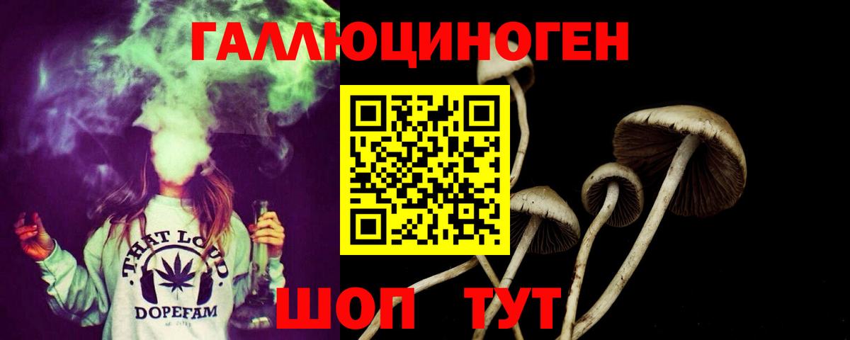 Галлюциногенные грибы прущие грибы  Вход с VPN  Псилоцибиновые грибы прущие грибы  Россия 